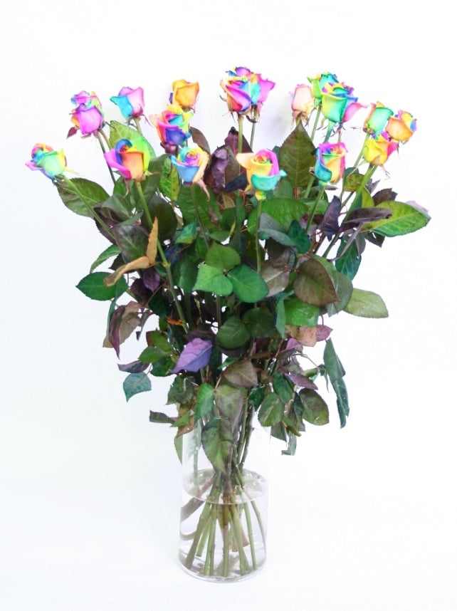 Rainbow roses bouquet of long large -flowered roses