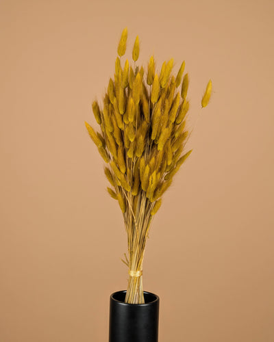 Botao Botton dunkelblau getrocknet