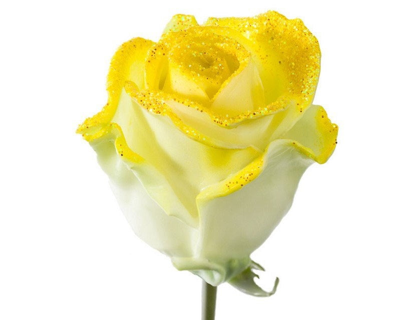 Bouquet of large -flowered wax roses white with yellow glitter