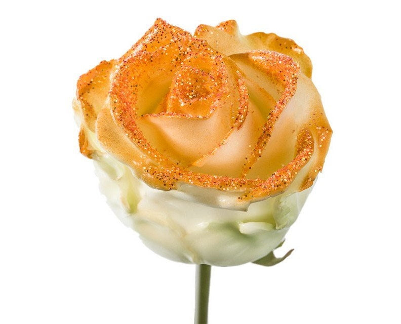 Boeket van grootbloemige wax Rozen wit met oranje glitters