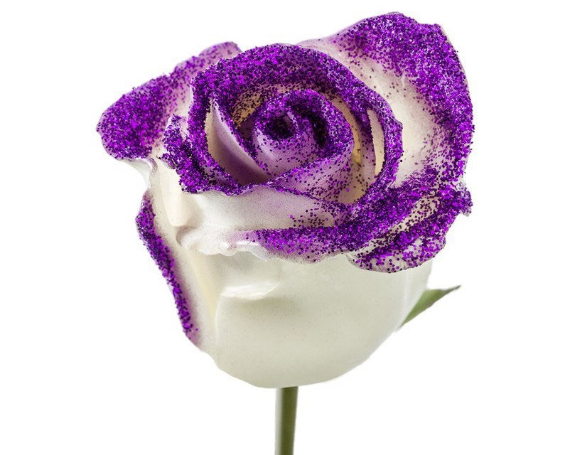 Bouquet of large -flowered wax roses white with purple glitter