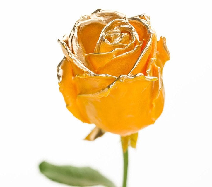 Bouquet of large -flowered wax roses ocher with golden blush