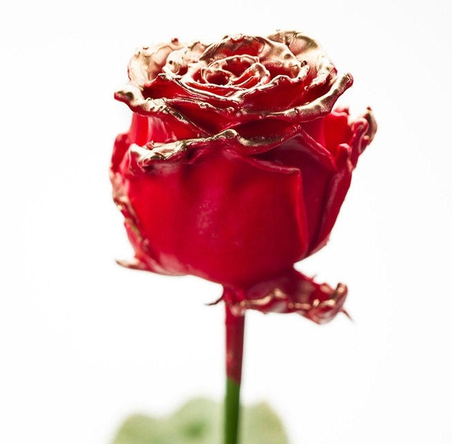 Bouquet of large -flowered wax roses red with golden blush