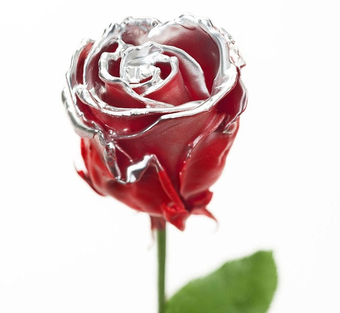 Bouquet of large -flowered wax roses red with silver blush