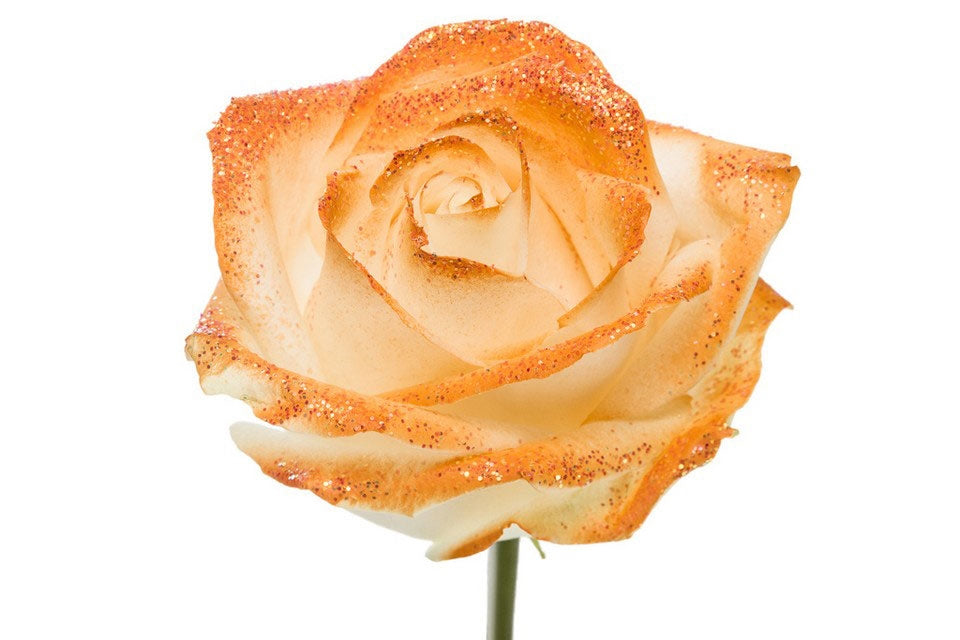 Bouquet de roses blanches grandes avec des paillettes orange