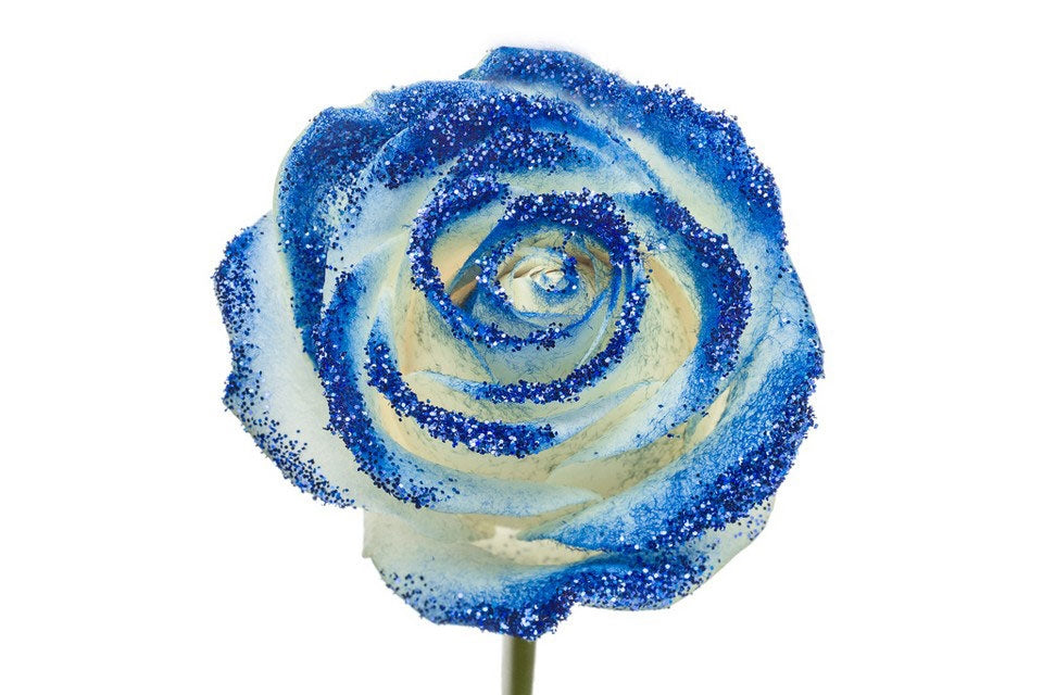 Bouquet of white large -flowered roses with blue glitter