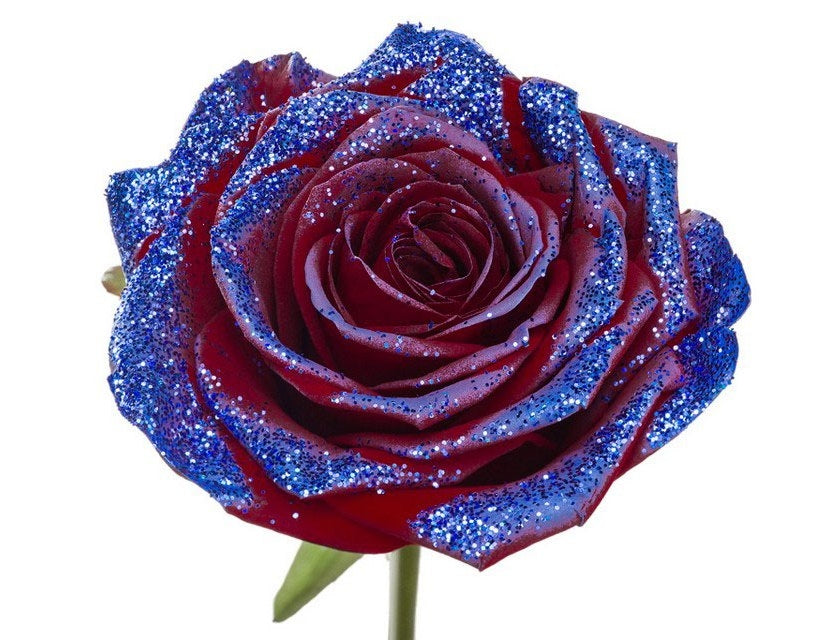 Bouquet of red -flowered roses with blue glitter