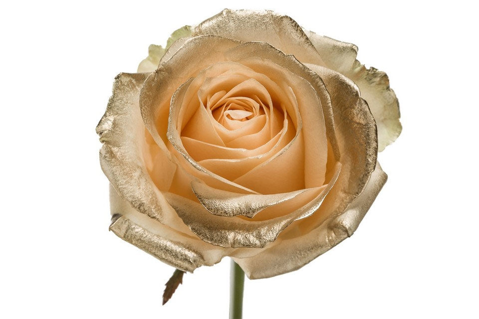 Bouquet de roses Grootblarie Peach avec des blos d'or