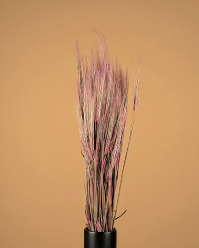 Gedroogde Gerst – roze