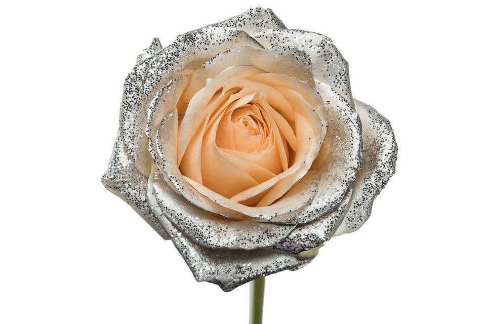 Bouquet of large -flowered peach roses with silver glitter