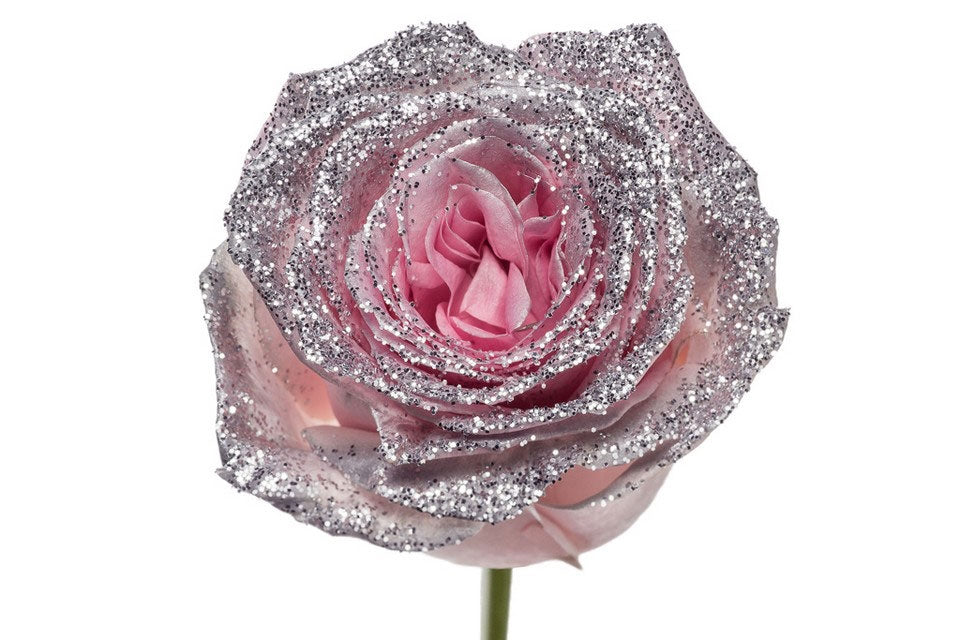 Bouquet of large -flowered pink roses with silver glitter