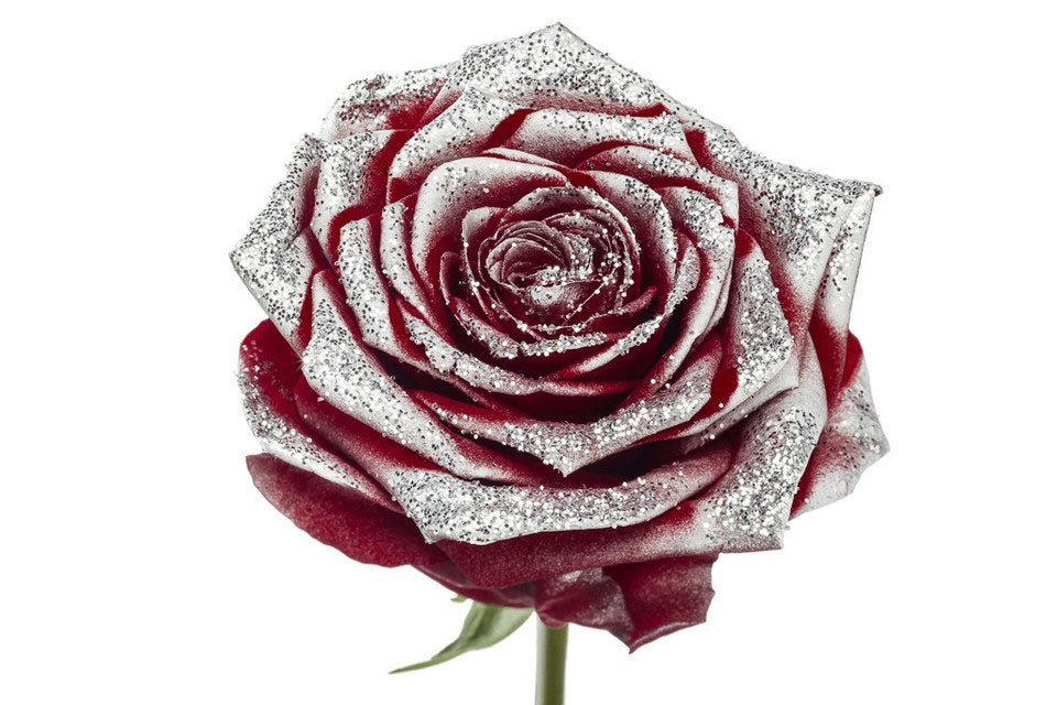 Bouquet of large -flowered red roses with silver glitter