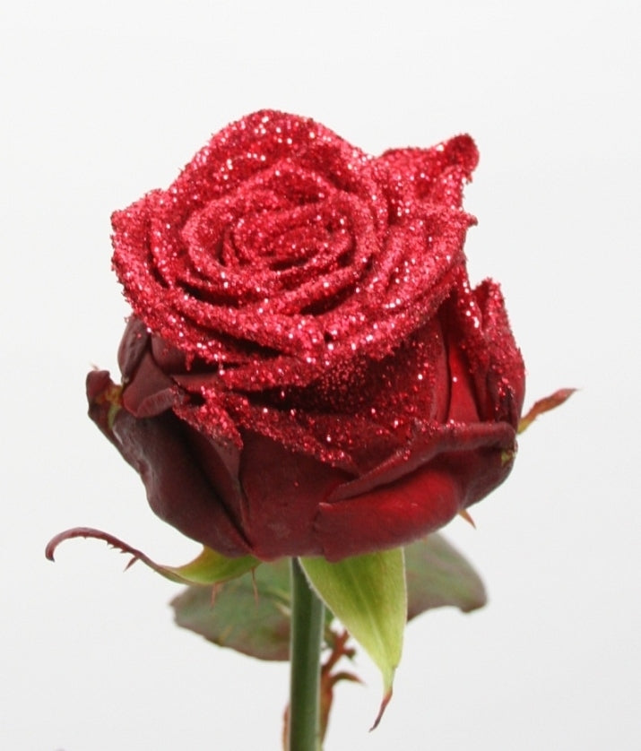 Bouquet of red -flowered roses with red glitter