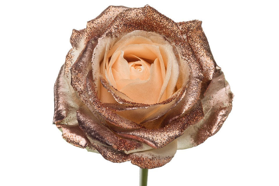 Bouquet of large -flowered peach roses with copper glitter