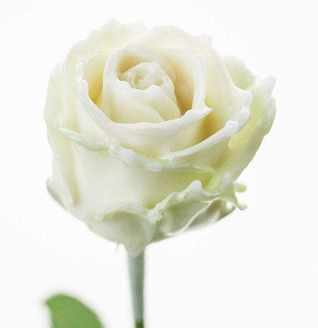 Bouquet of large -flowered white wax roses