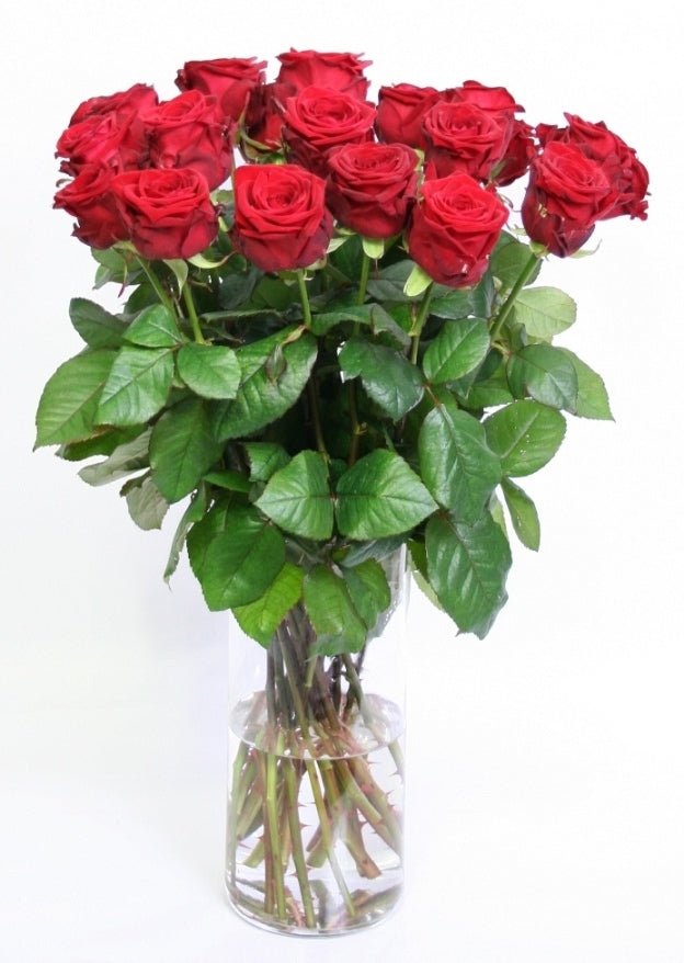 Red roses bouquet of medium long large -flowered roses