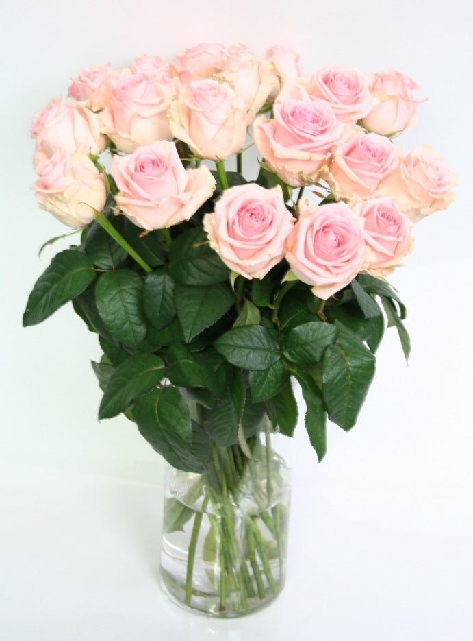 Light pink roses bouquet of long large -flowered roses