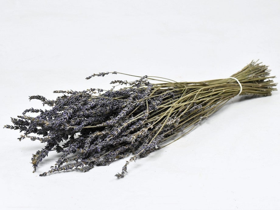 Getrockneter Lavendin von 100 Gramm