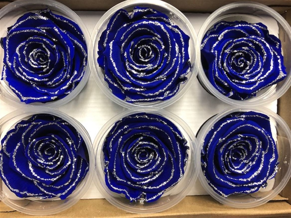 Preserved blue roses with glitter in a gift box