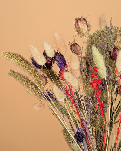 Trockenstrauß wirklich geliebt