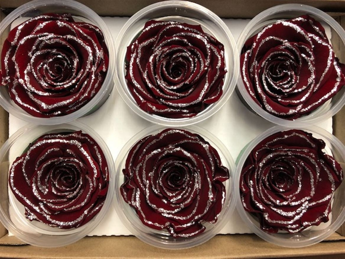 Preserved red roses with glitter in a gift box