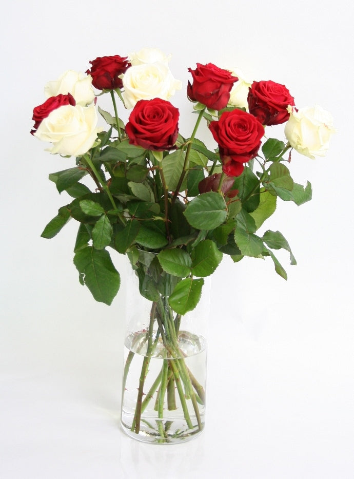 Roses bouquet of red and white roses