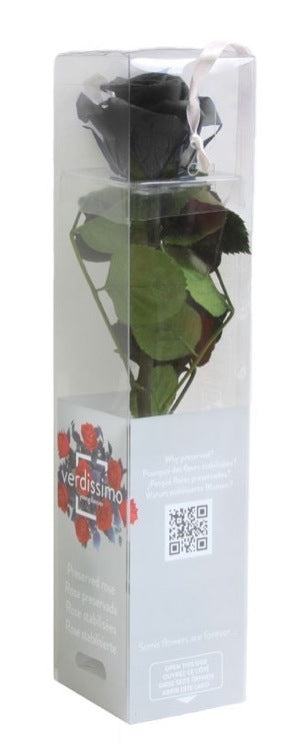 Preserved black rose with steel in a gift box