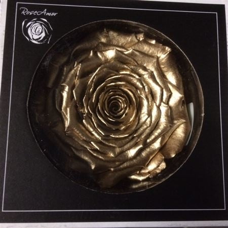 Preserved gold -colored rose in a gift box