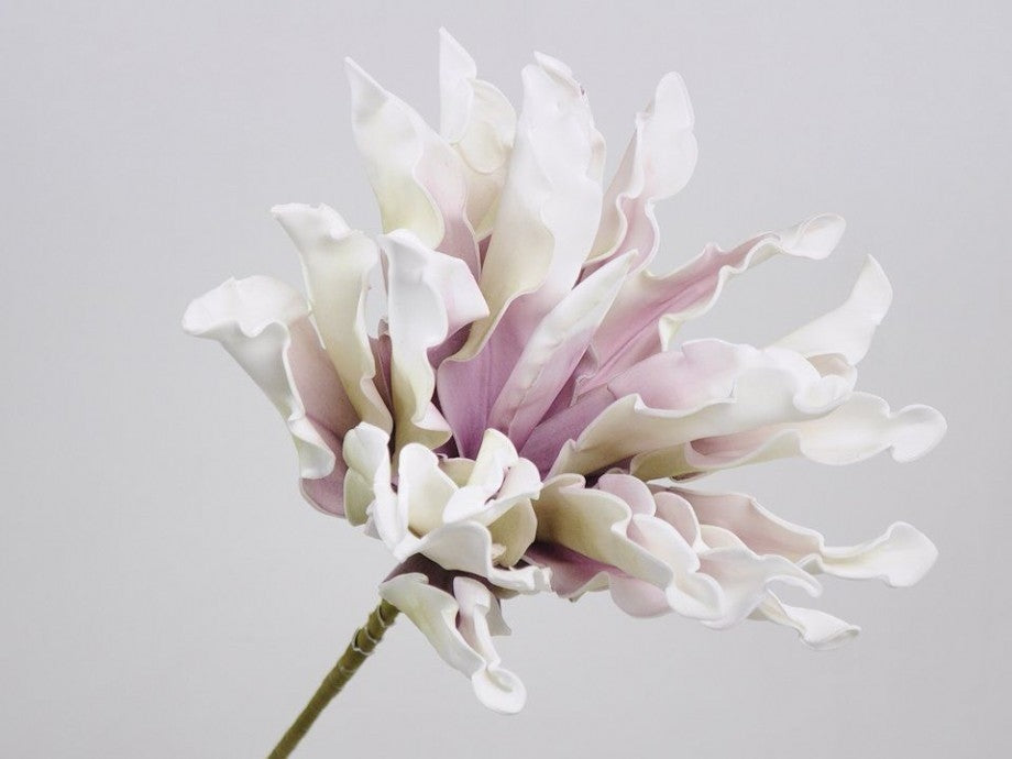 Schaumblume Dracena weißer Flila Ø 24 cm