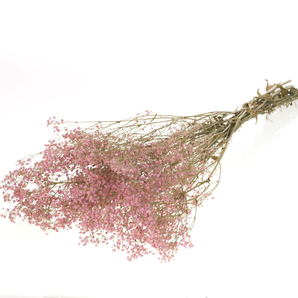 Gypsophila bleached pink preserved dried