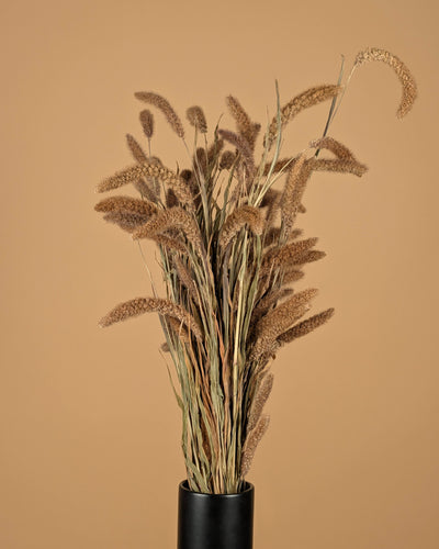 Dried Setaria Italica