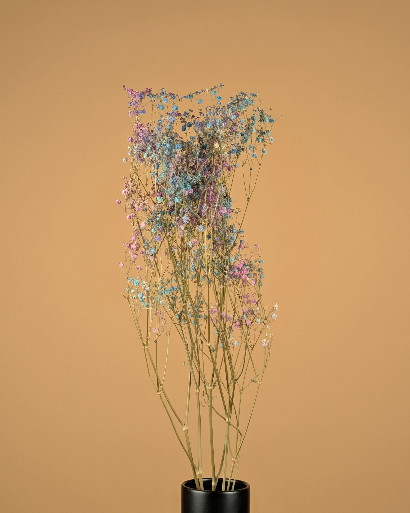 Gipspraid Disco Mix Lila & Blau getrocknet