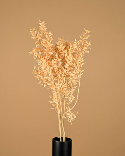 Russcus Salmon Pink Pink