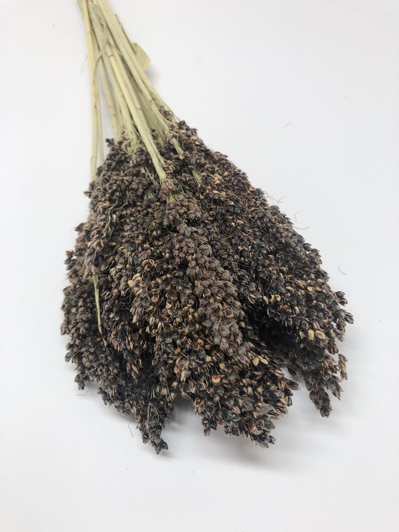 Dried Sorgum Panselaria Naturel