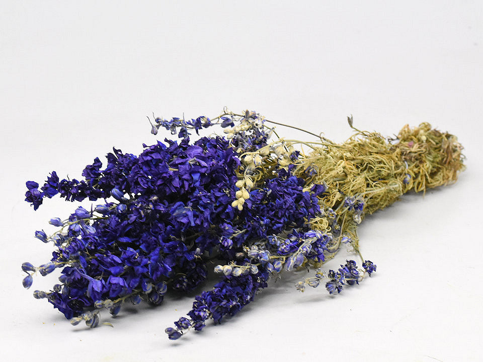 Delphinium blue 50cm