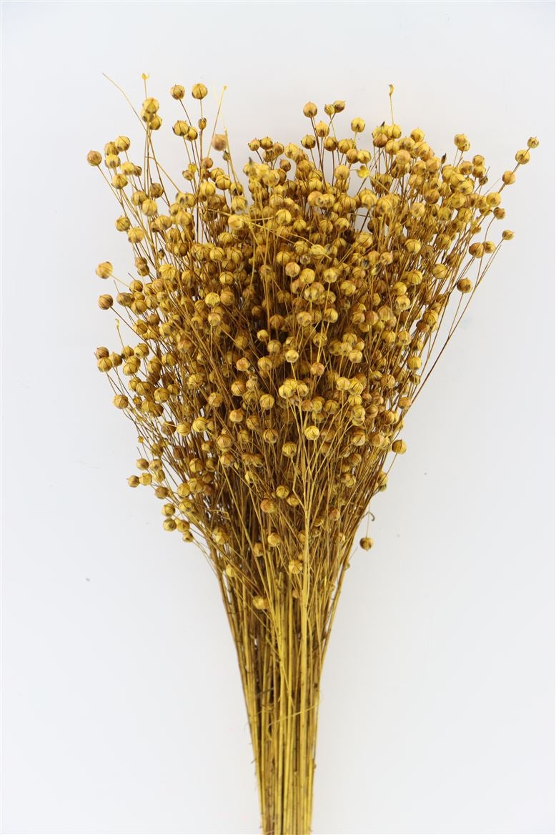 Lino lino chère jaune 100 grammes