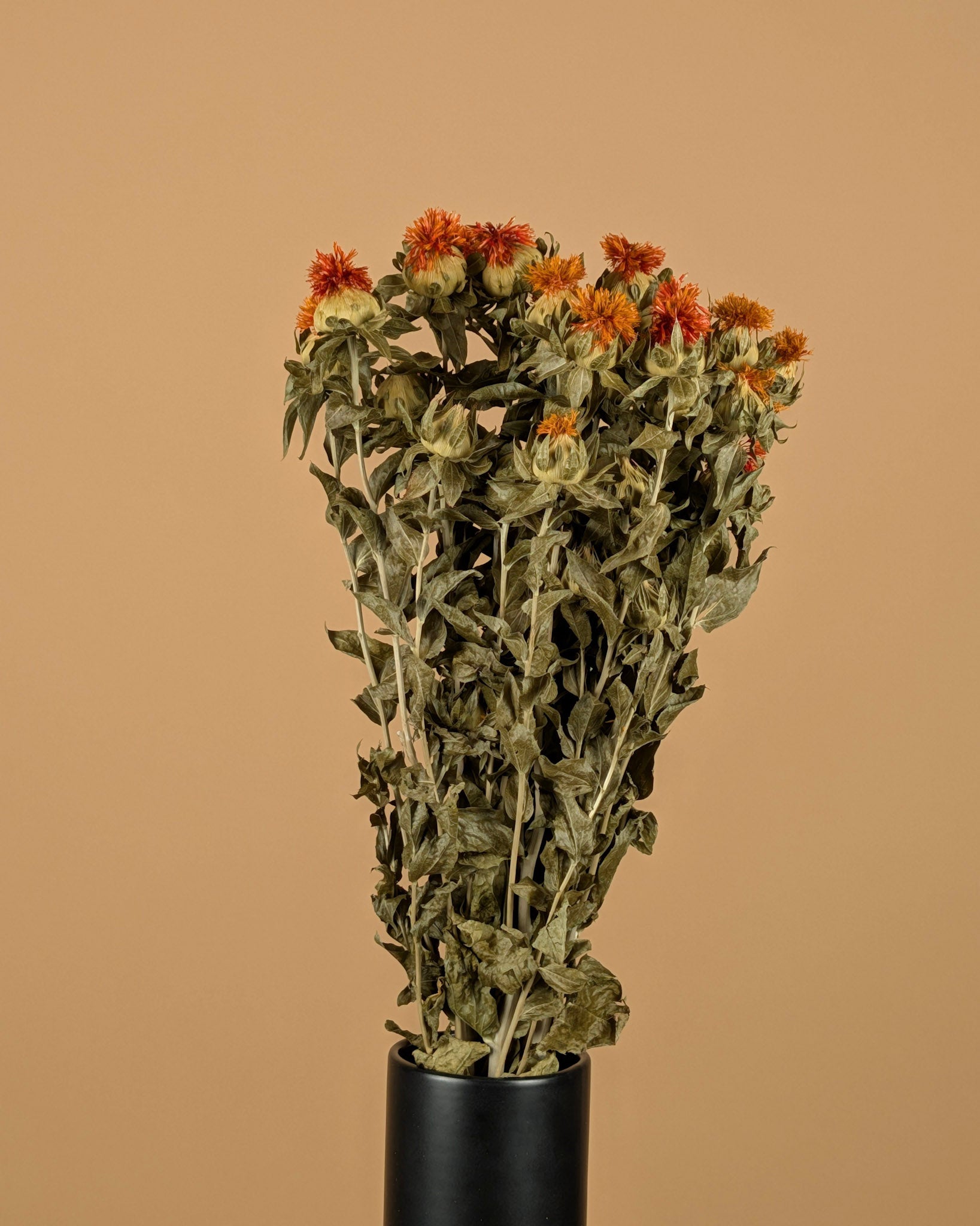 Séré Carthamus Orange