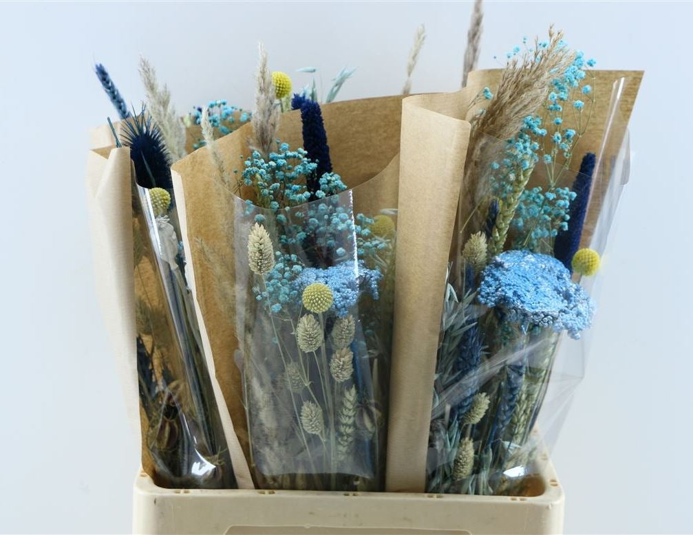 Dried field bouquet blue