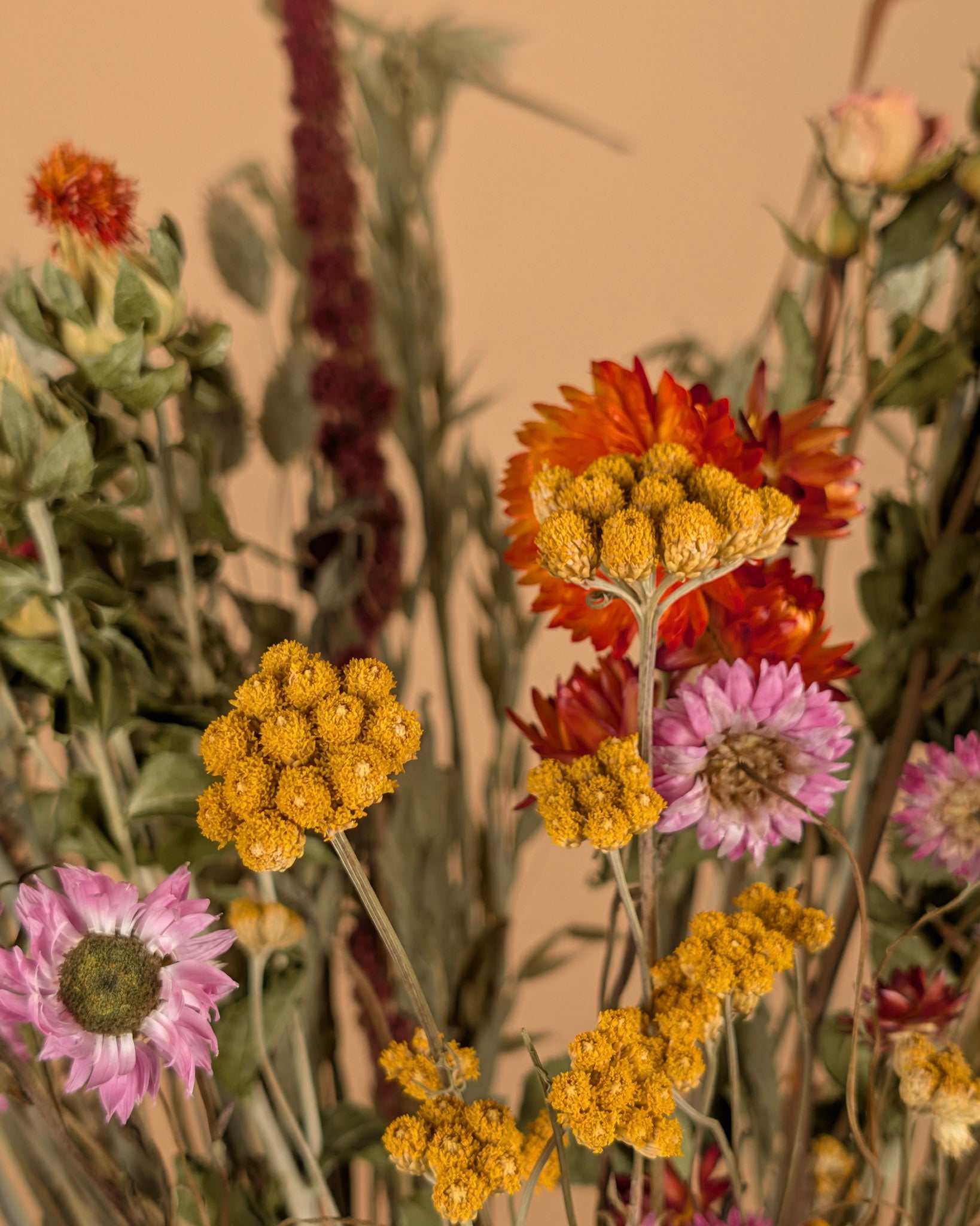 Droogboeket large Multicolor