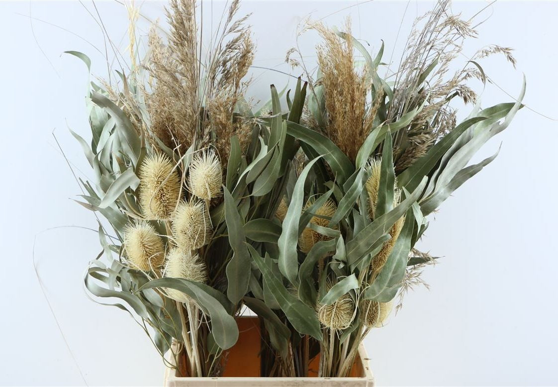 Getrocknete Bouquet Saint Jean Cap Ferrat