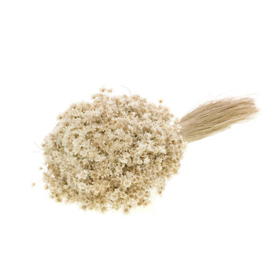 Gedroogde marcela – wit naturel