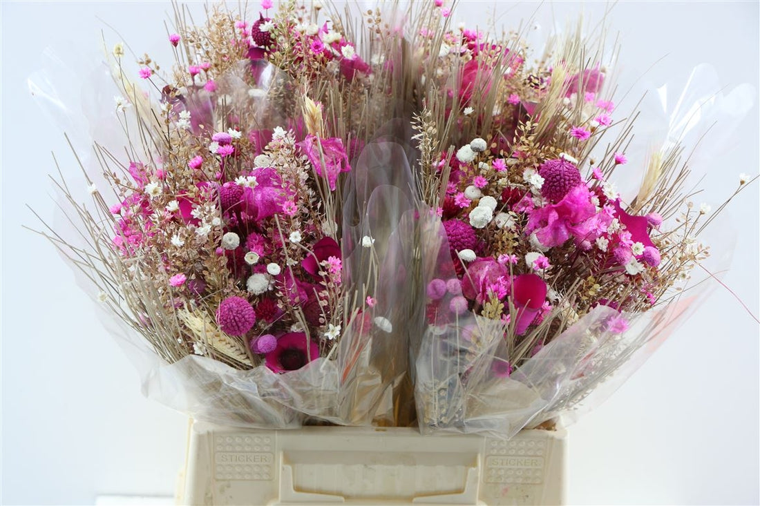 Getrocknete Bouquet Fantasie Cerise