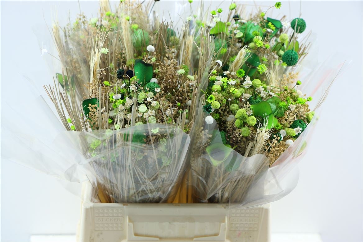 Dried bouquet fanasia green