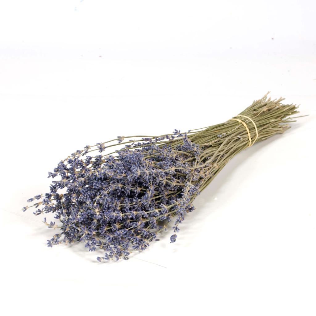 Dried lavender natural blue