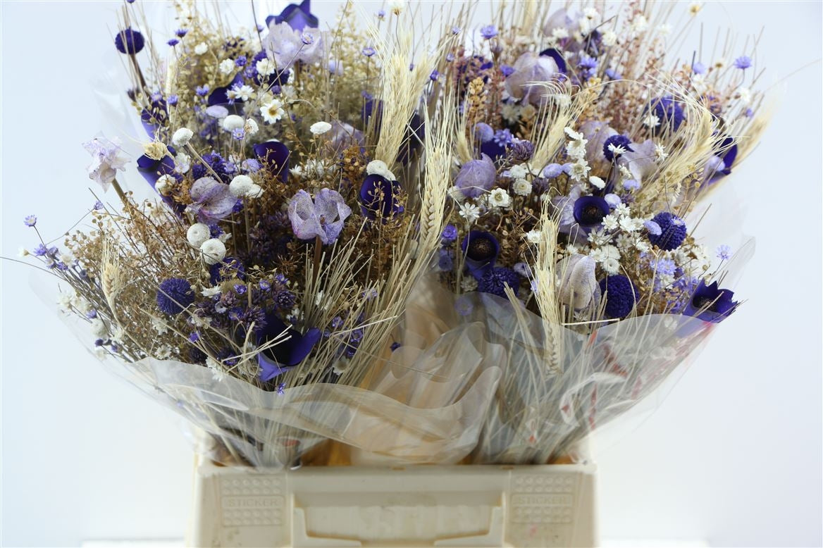 Dried bouquet Fanasia Milka