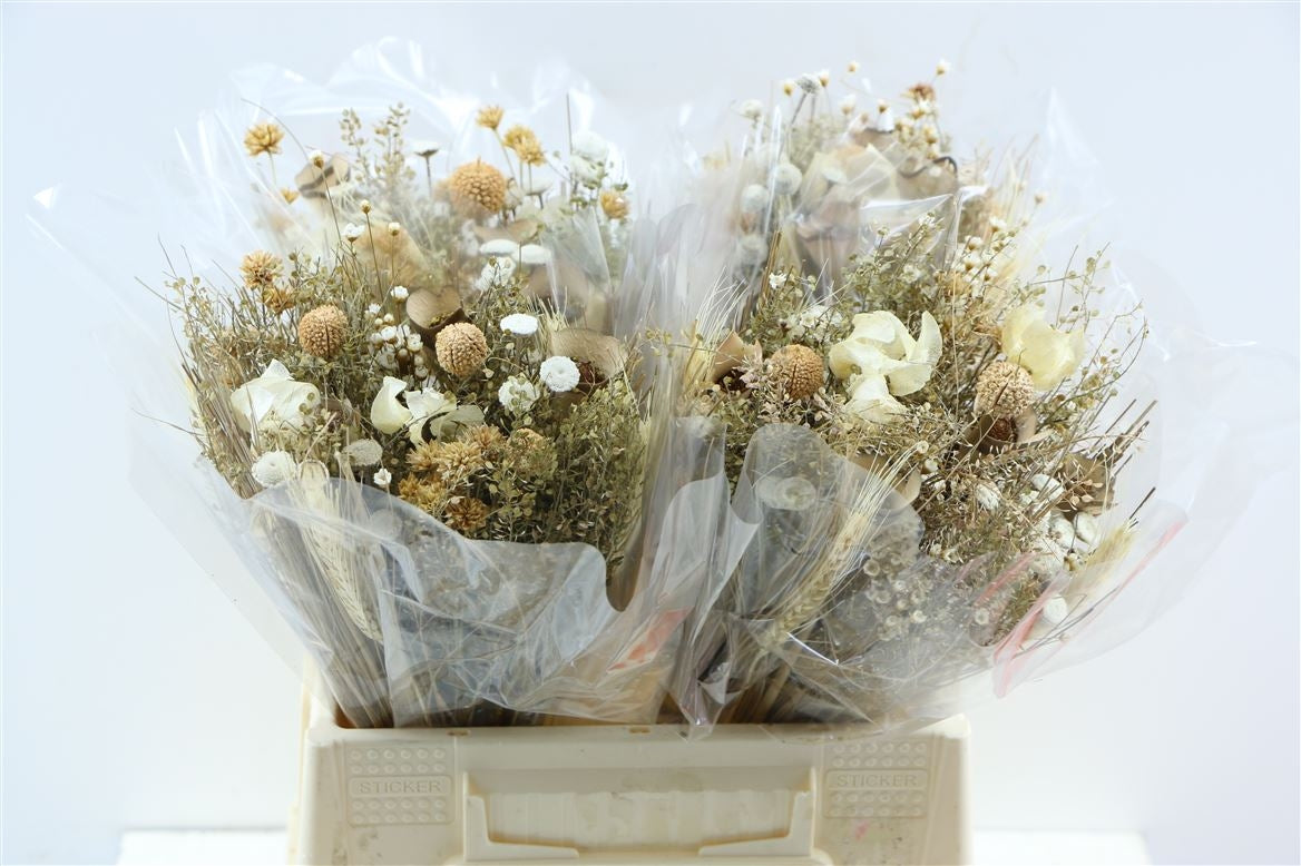 Dried bouquet Fanasia natural