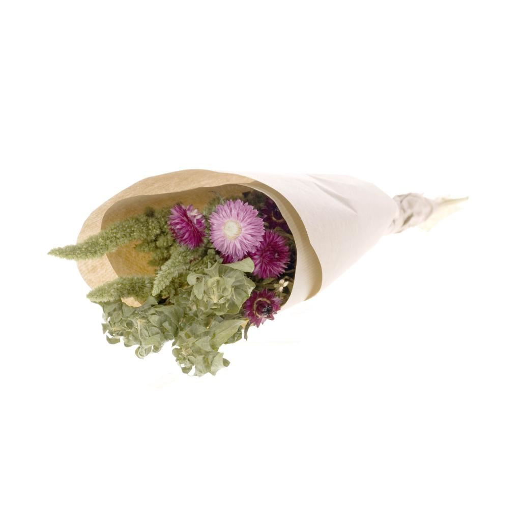 Mischwaldrosa trockene Blüten