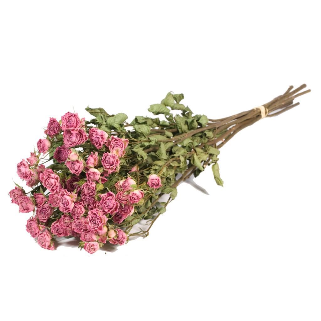 Dried pink bunch