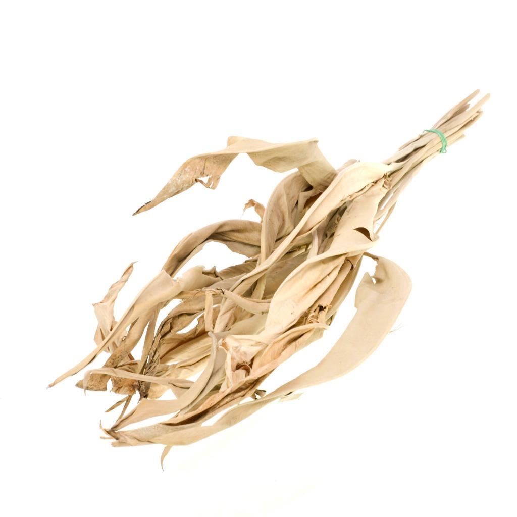 Gedroogd strelitzia blad – naturel