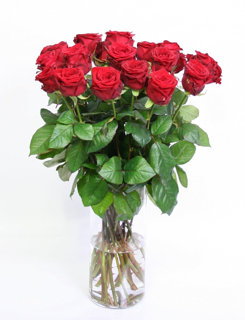 Roses bouquet red from 10 long large -flowered red roses